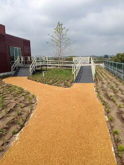 Rooftop Garden