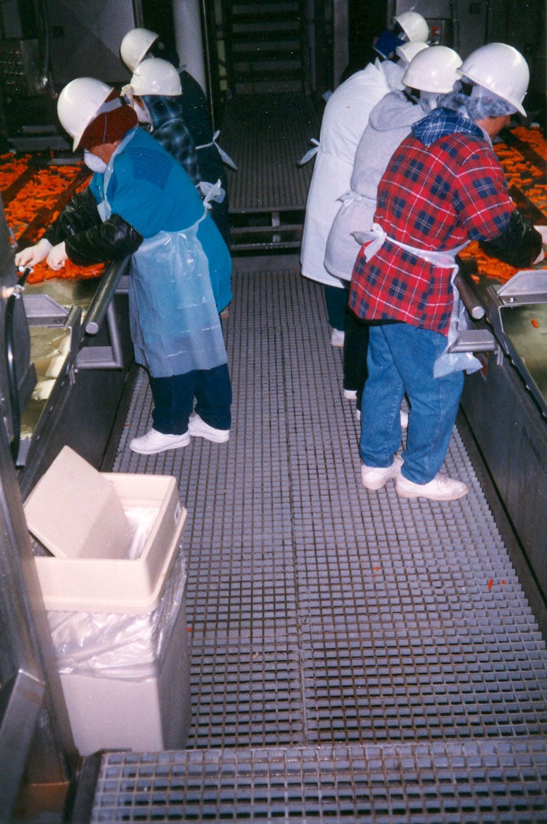 FGI-AM® resin system grey molded grating in a food processing facility